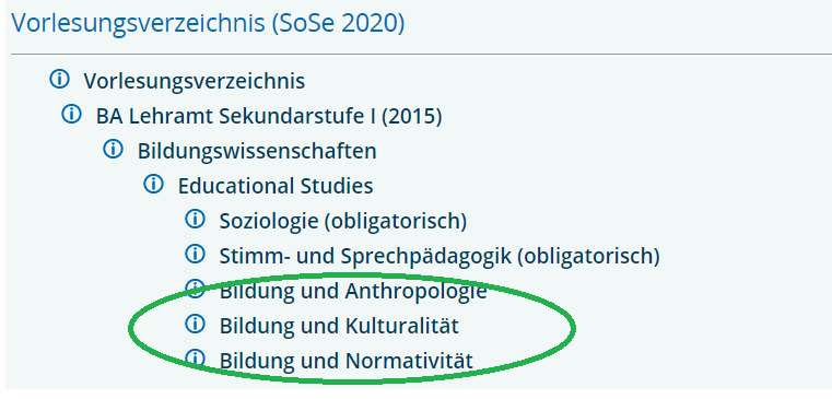 ES: Wie funktioniert das mit dem Wahlpflichtbereich nochmal?